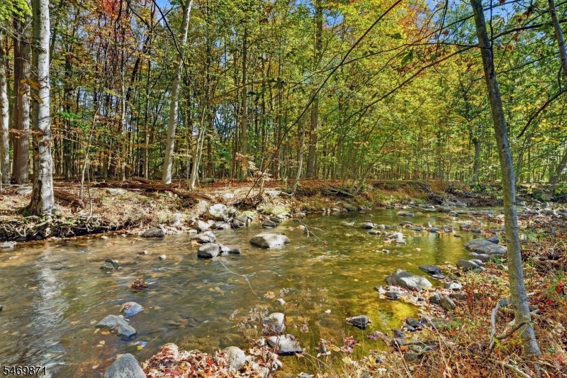 View of the babbling brook