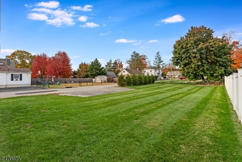 rear yard