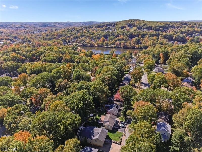 Aerial Shot