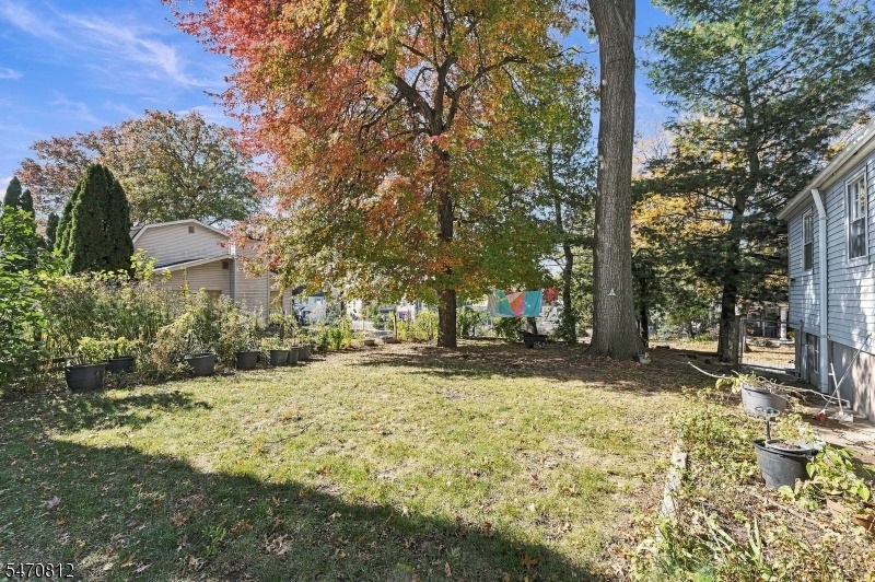 Yard