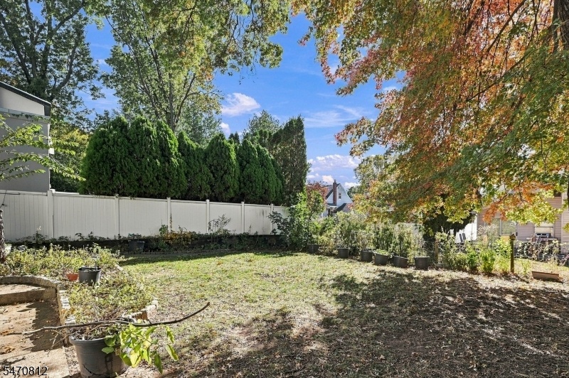 Yard