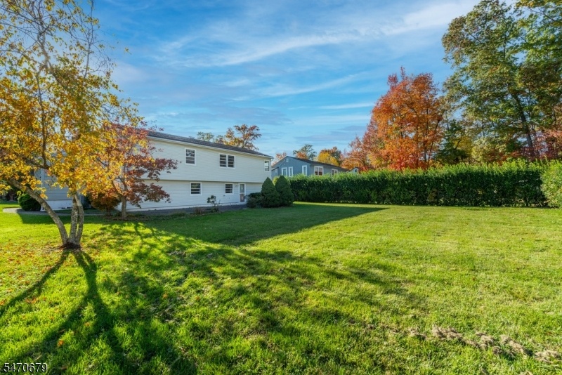 Large & flat backyard