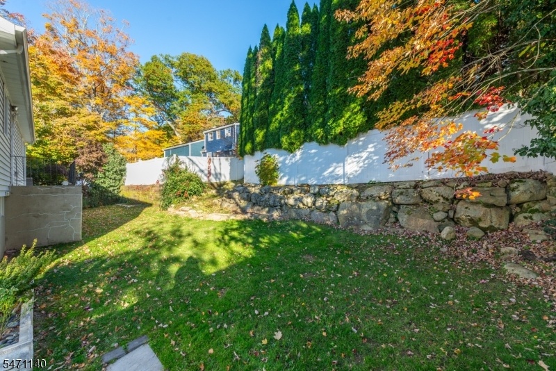 Backyard View