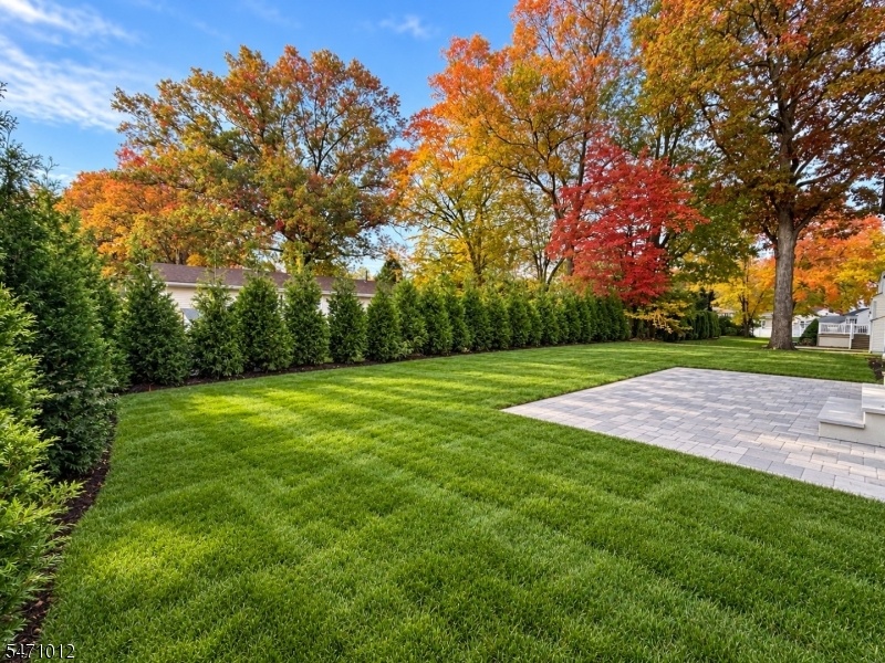 Rear yard/patio
