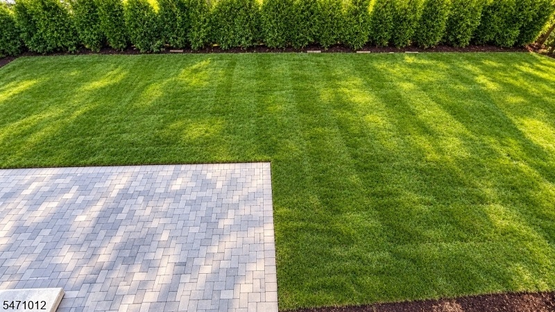 Rear yard/patio