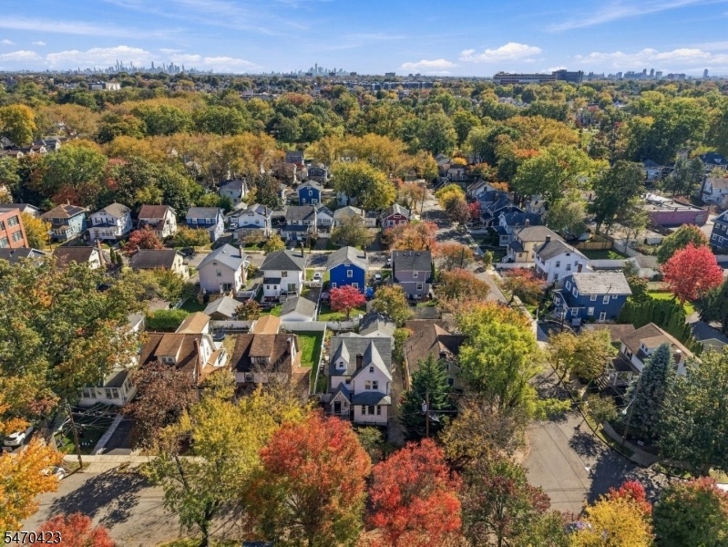 Beautiful Bloomfield!