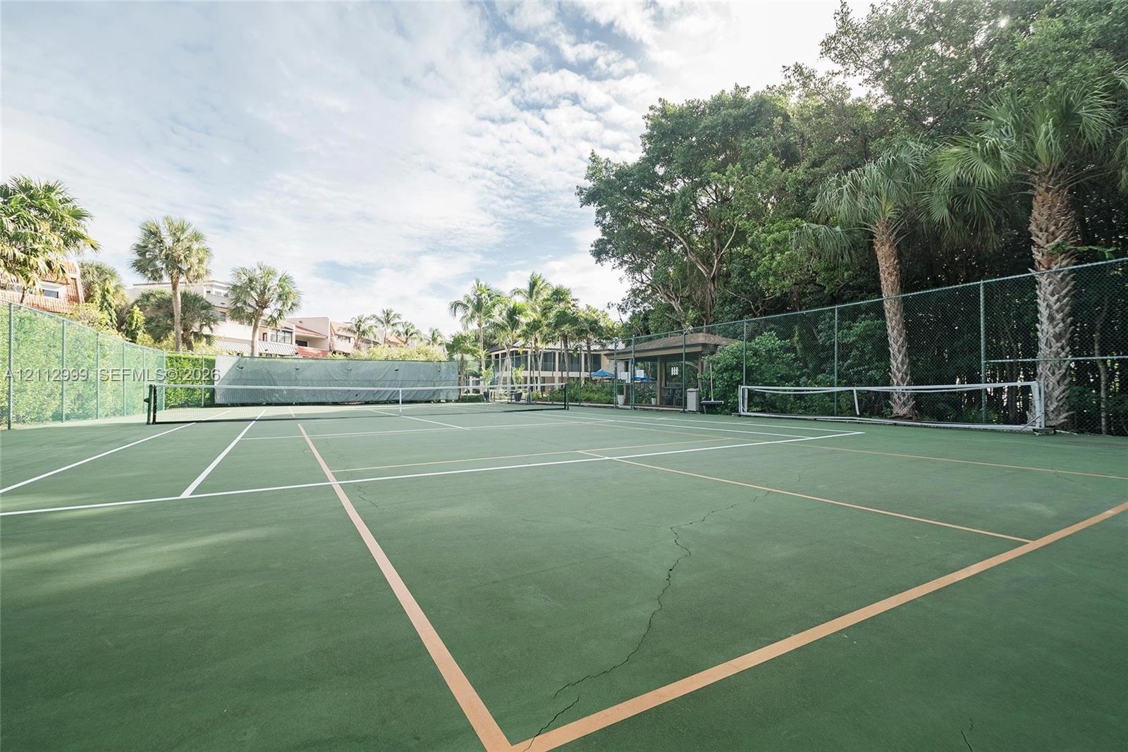 Hard-surface tennis court featuring perimeter chain-link fencing, a integrated net system, and surrounding mature palm trees