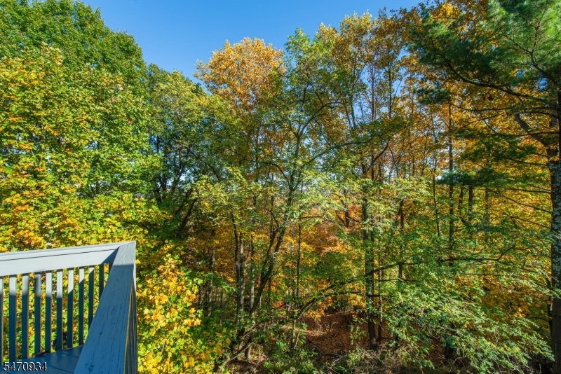 Surrounded by Nature!