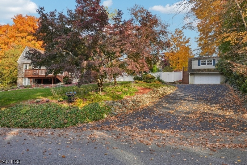 Wooded Lot