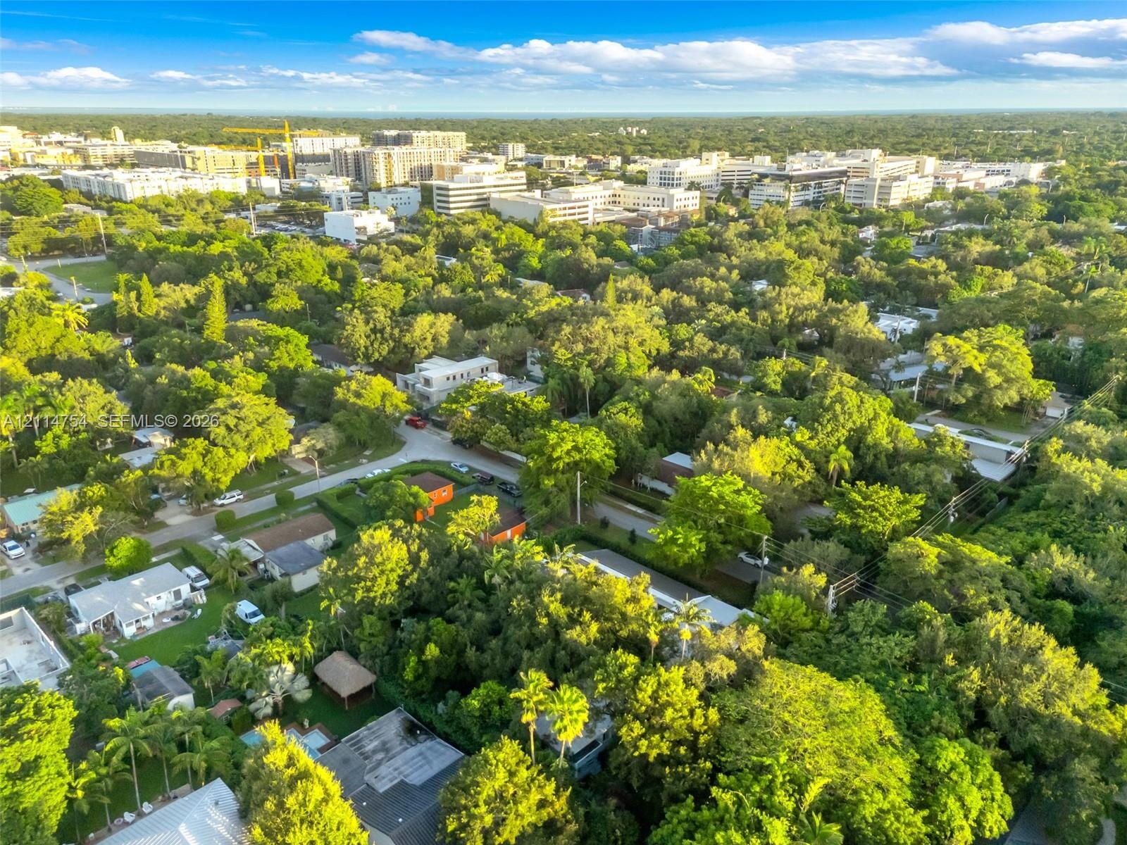 Aerial perspective of a tree-lined residential area featuring dense canopy cover, established vegetation, and proximity to urban infrastructure