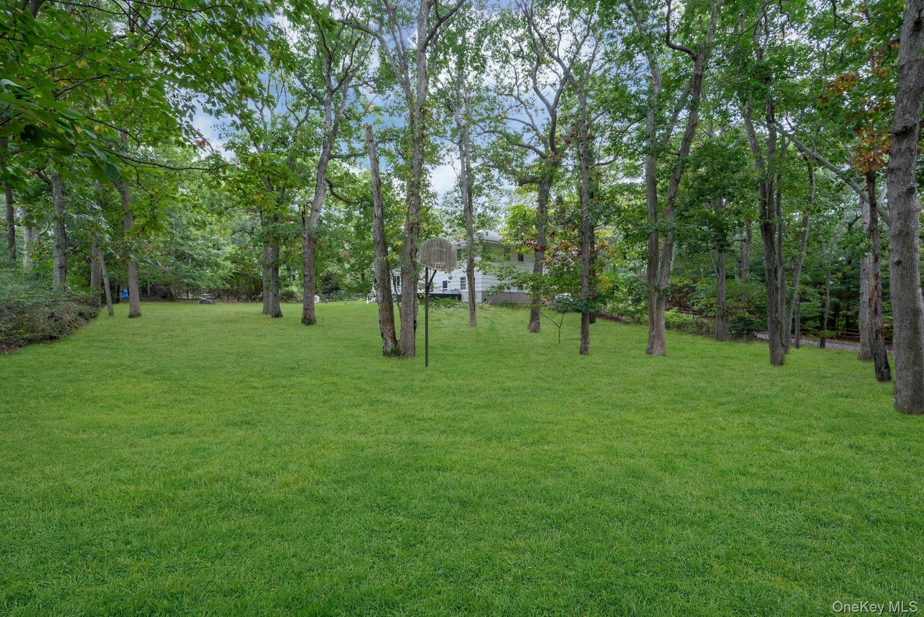 Expansive backyard featuring a sprawling lawn, mature trees