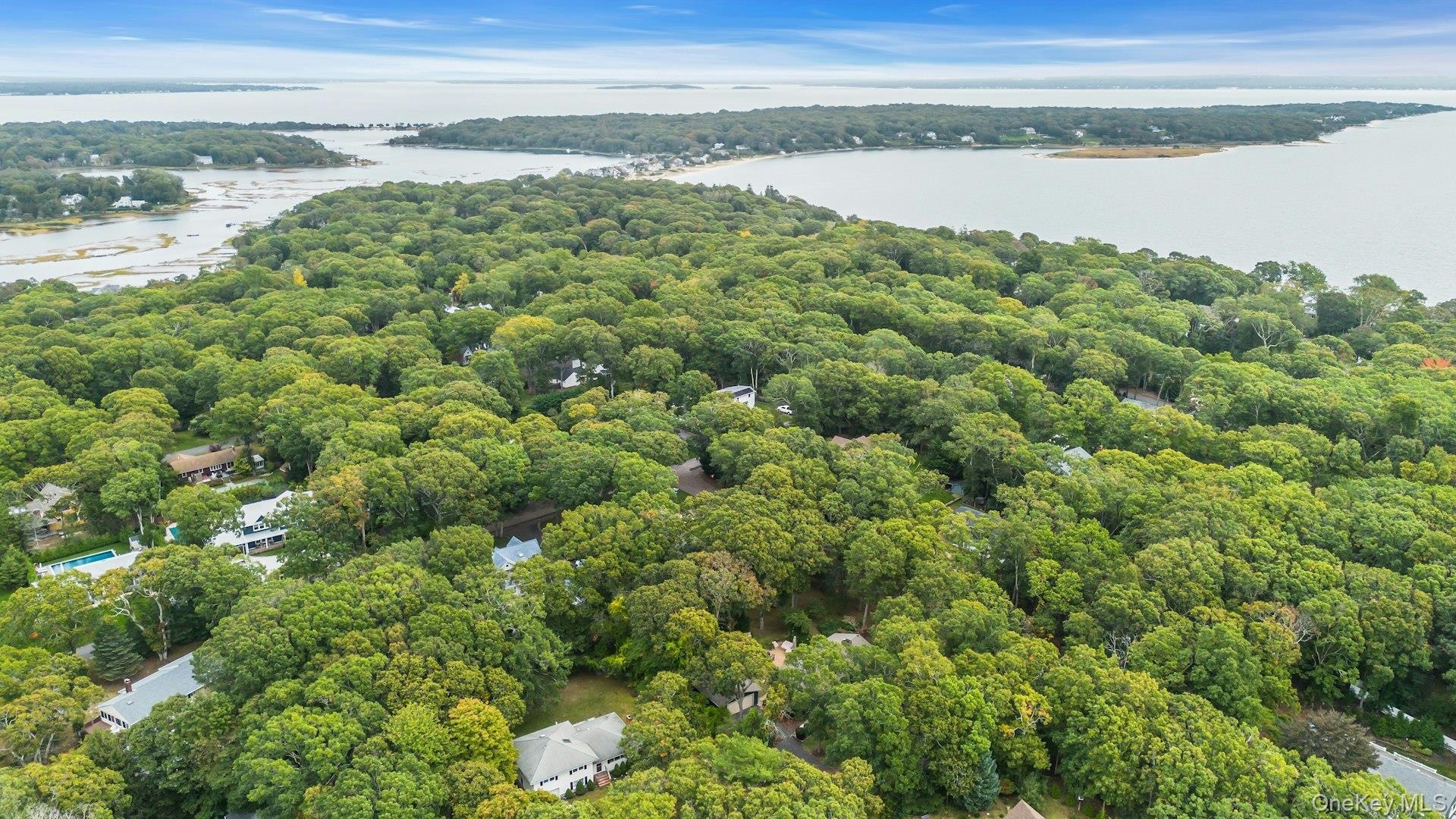 Aerial perspective featuring dense canopy coverage, established woodland surroundings, and proximity to the coastline. Close walk to the Marina and be