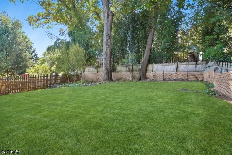 back yard