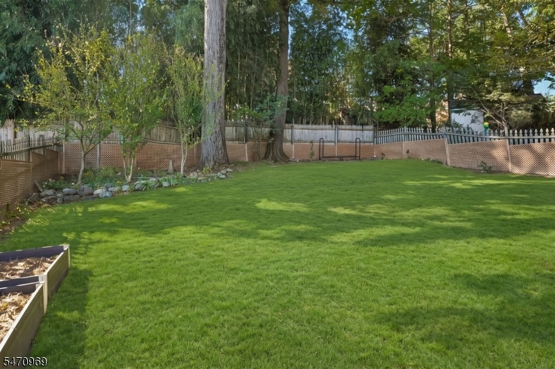 back yard with raised beds