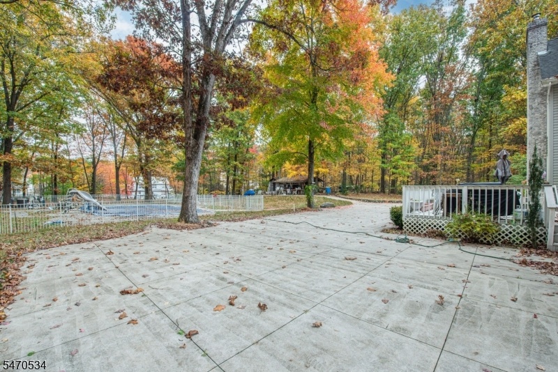 Back yard