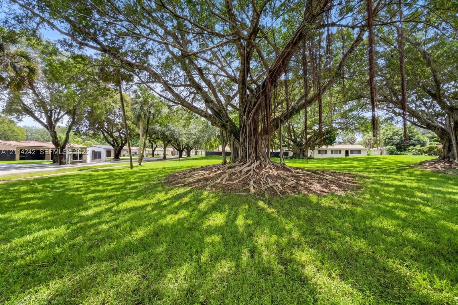 Expansive grounds featuring mature shade trees, established landscaping, and an open grass lawn