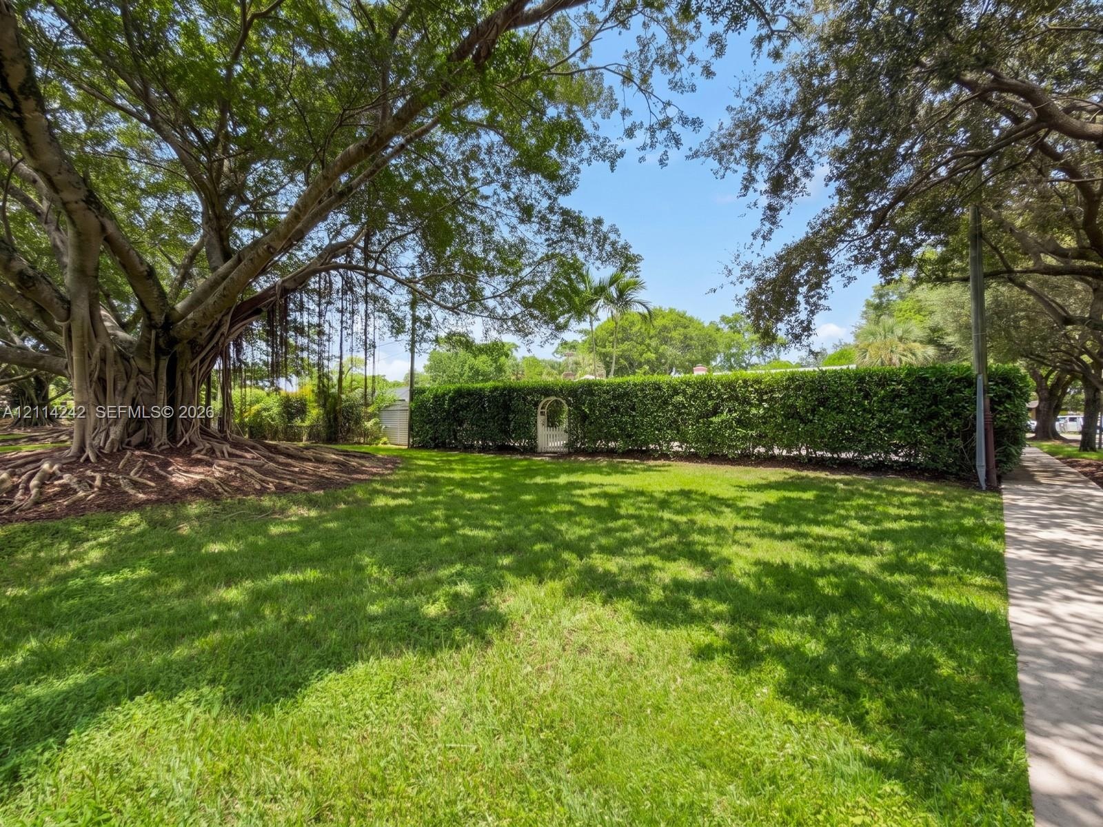 Expansive lawn area featuring mature specimen trees and a decorative arched metal gate integrated into a manicured privacy hedge
