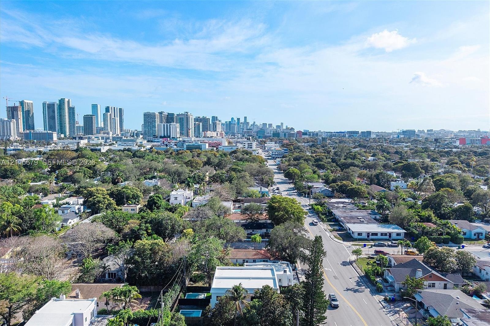 Aerial perspective featuring an urban skyline backdrop and mature landscape canopy