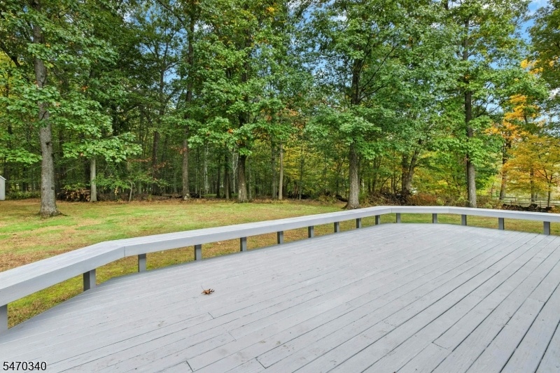 Large Deck