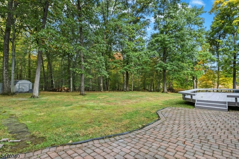 Large Tree-lined yard