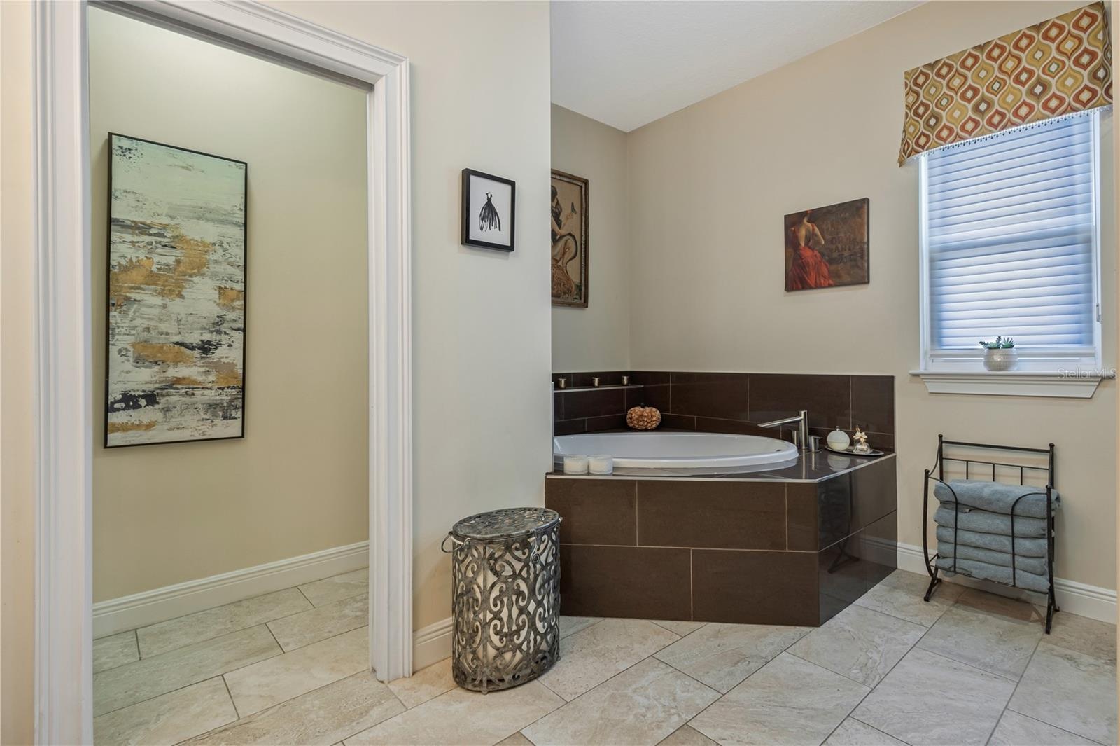 Soaking Tub in Master