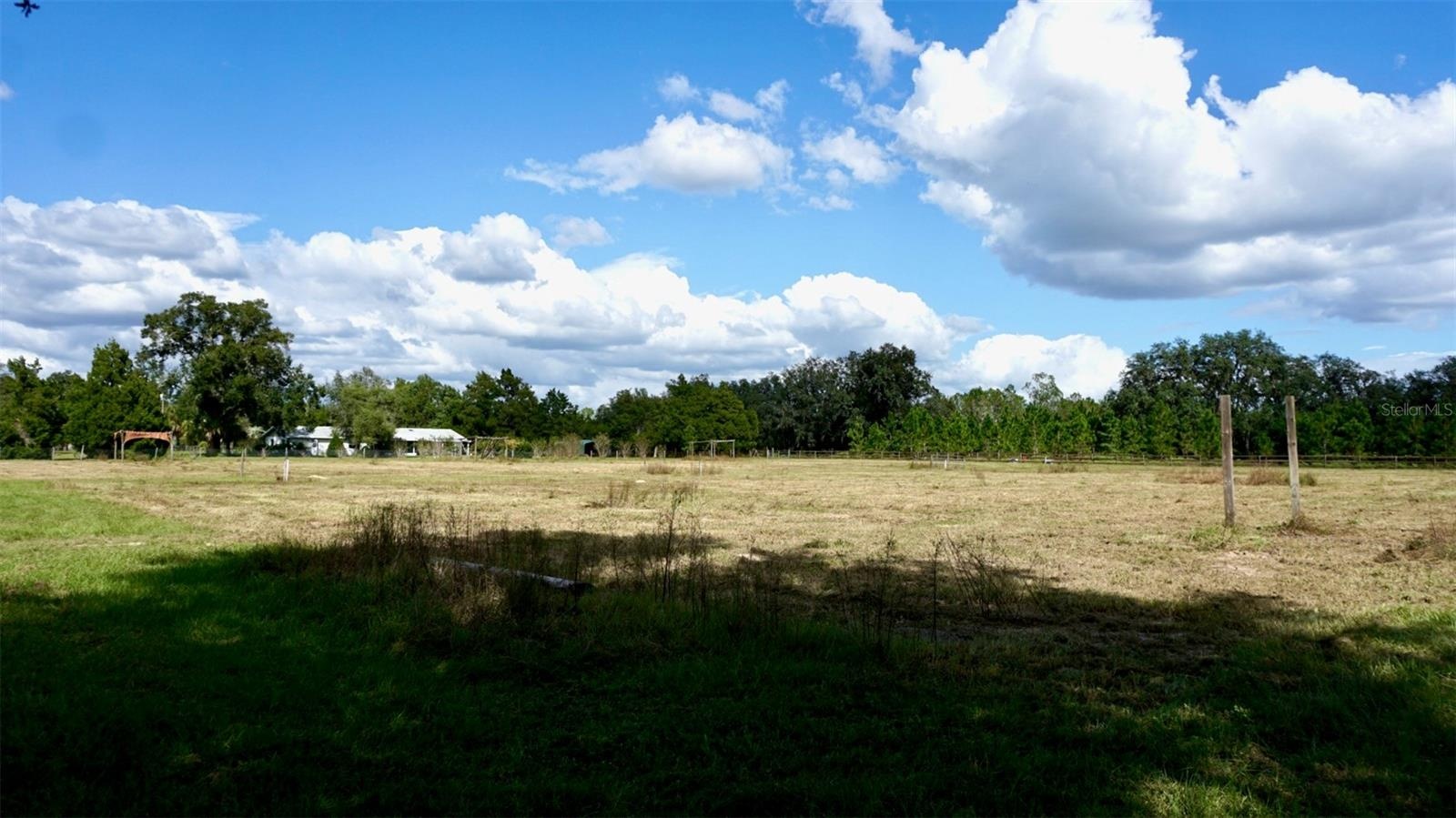 Pasture on left side of property