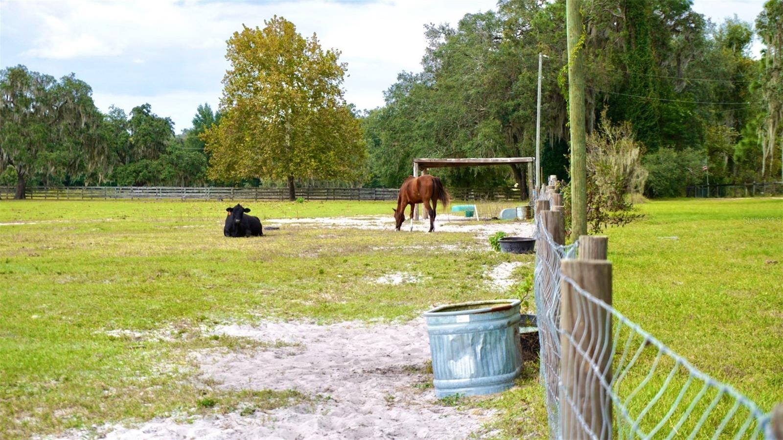 Pasture with water troughs