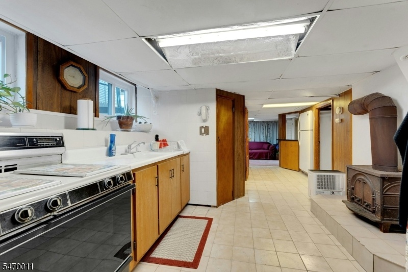 Basement Summer Kitchen
