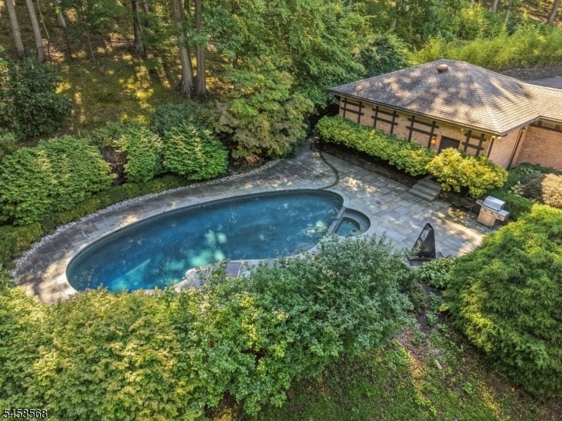 Overhead View of Pool and Side