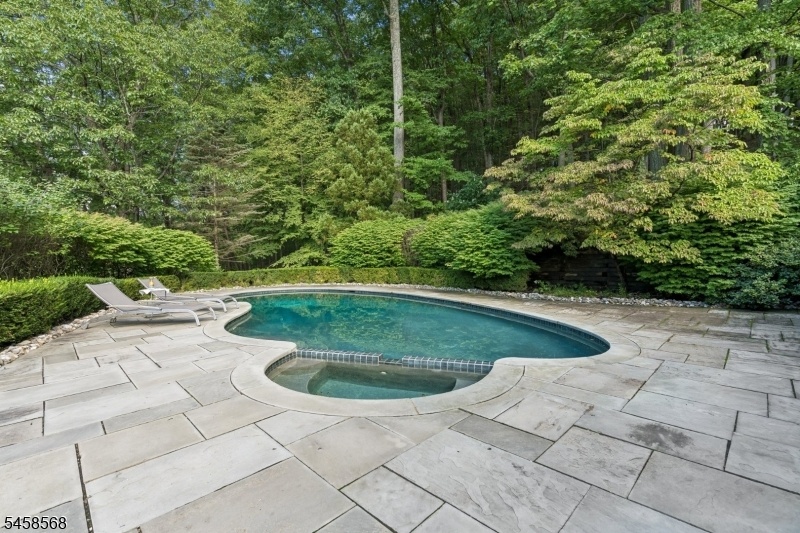 Saltwater Gunite Pool
