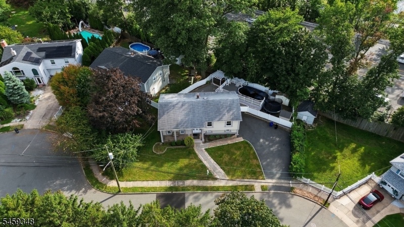 drone view