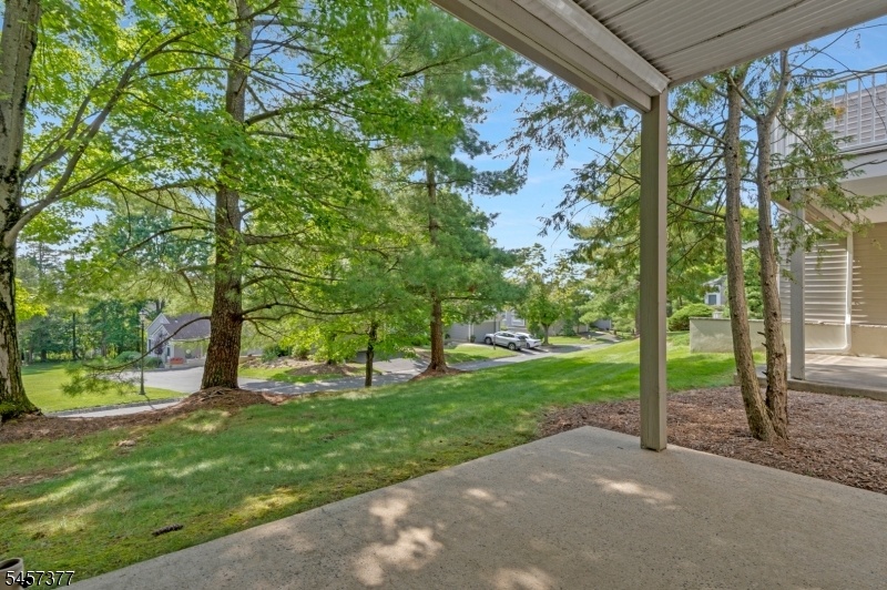 Lower Level Patio