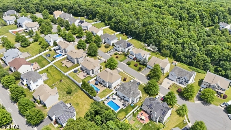back drone view