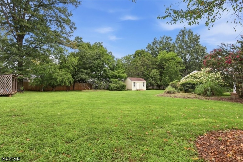 Rear Yard.
