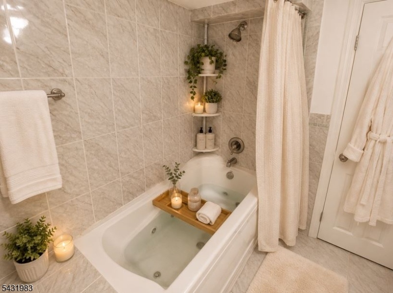 Basement Bathroom (VS)