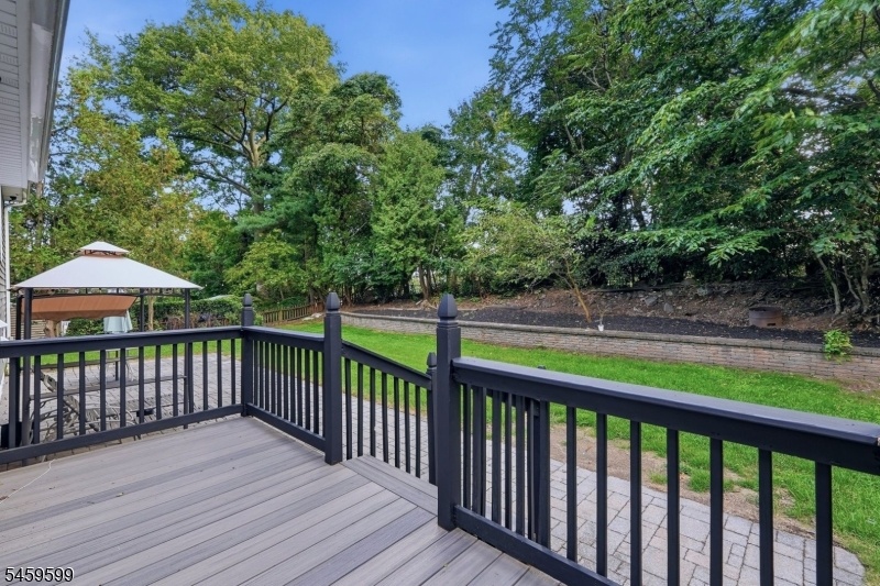 Trex Deck
