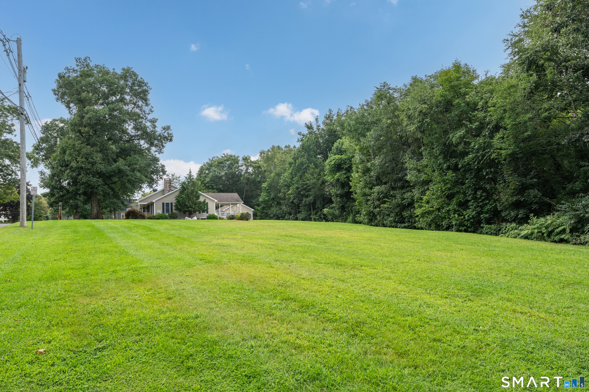 Side Yard