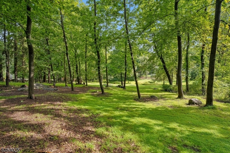 Grounds