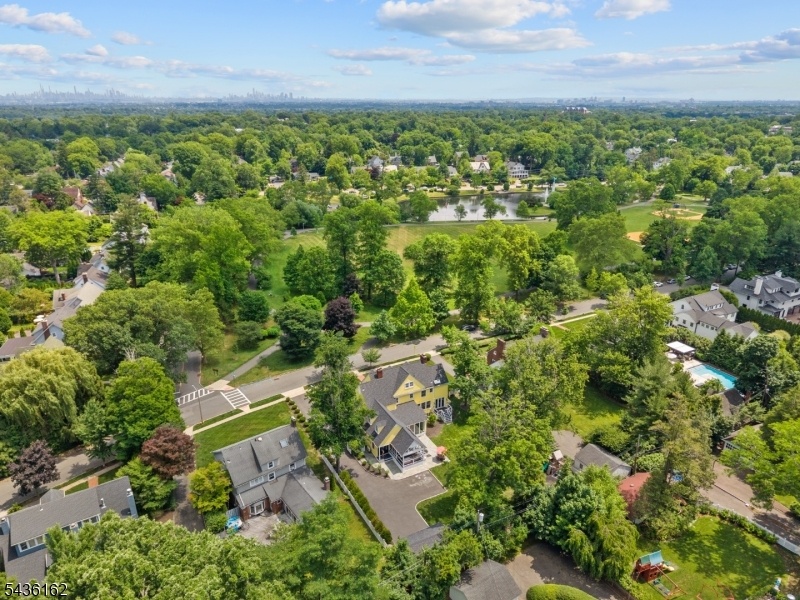 above and the park