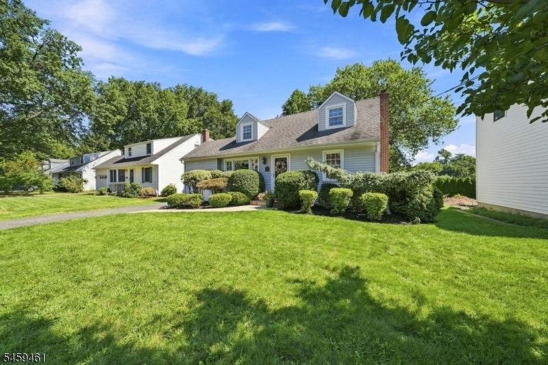 Front View