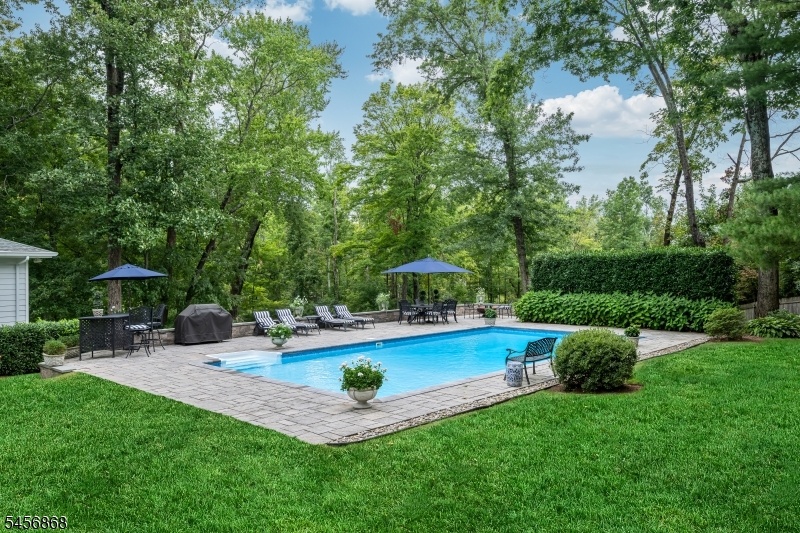 Pool & Rear Patio