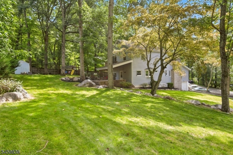 yard view
