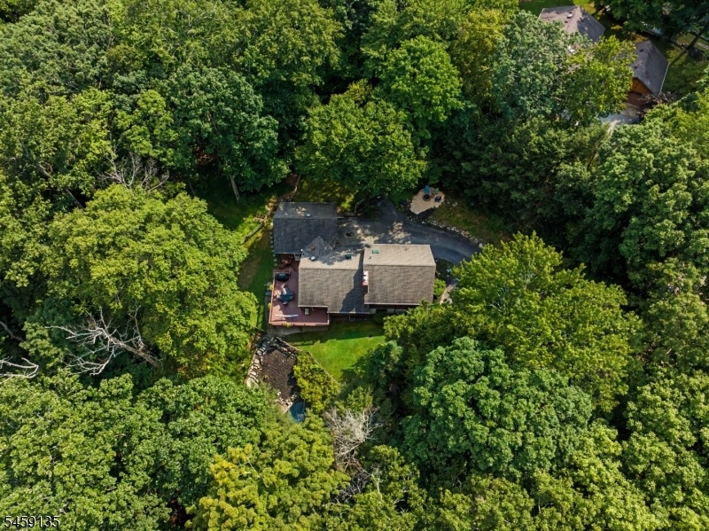 Drone view