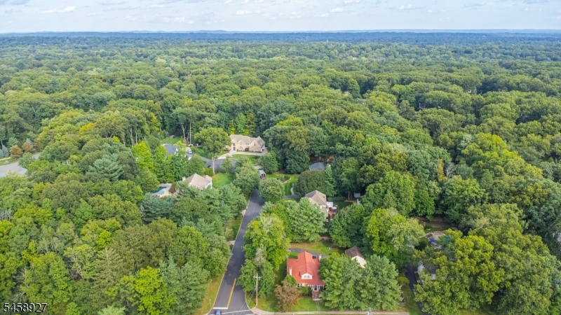 Mahwah Foilage