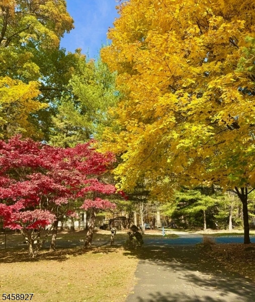 Majestic Fall Foliage