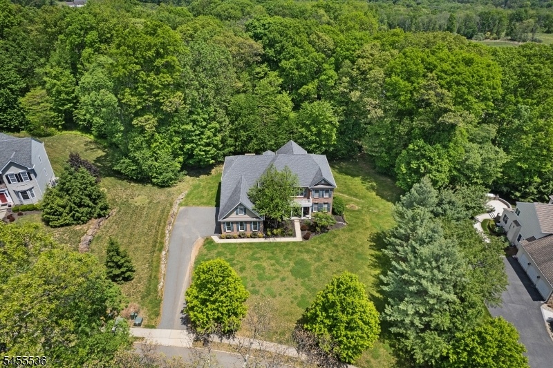 Property extends beyond trees