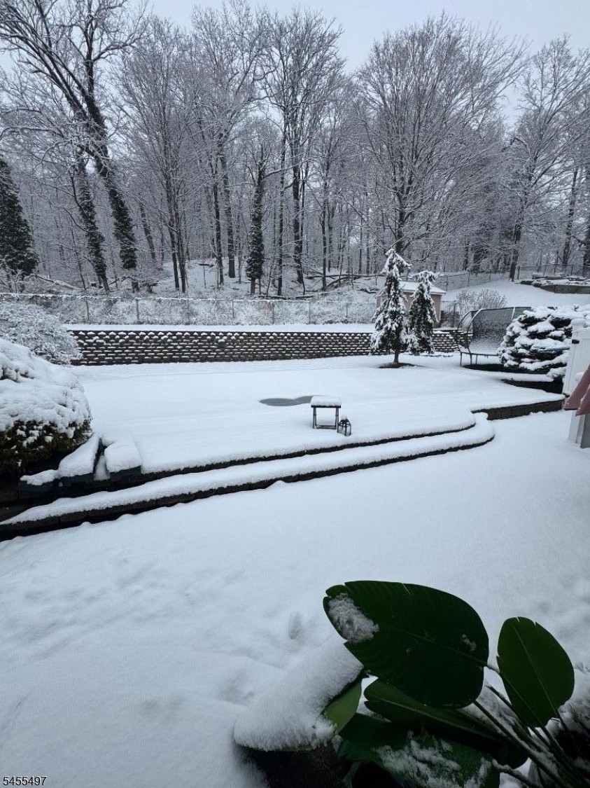 Backyard Winter View