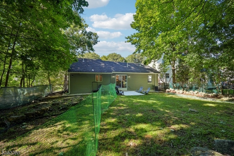 Back of Yard
