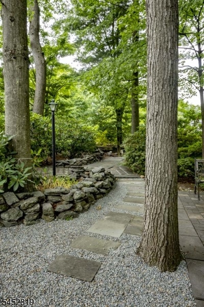 Back yard Trails