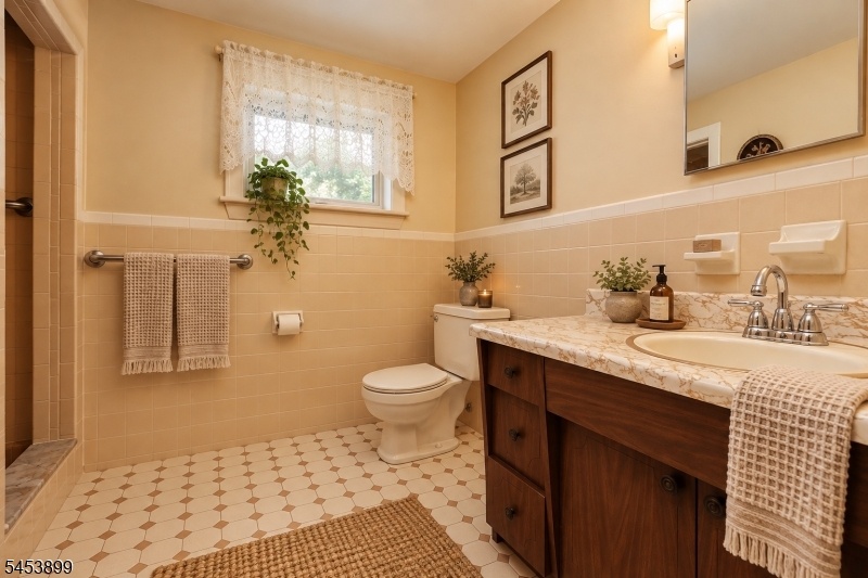 Basement Bathroom